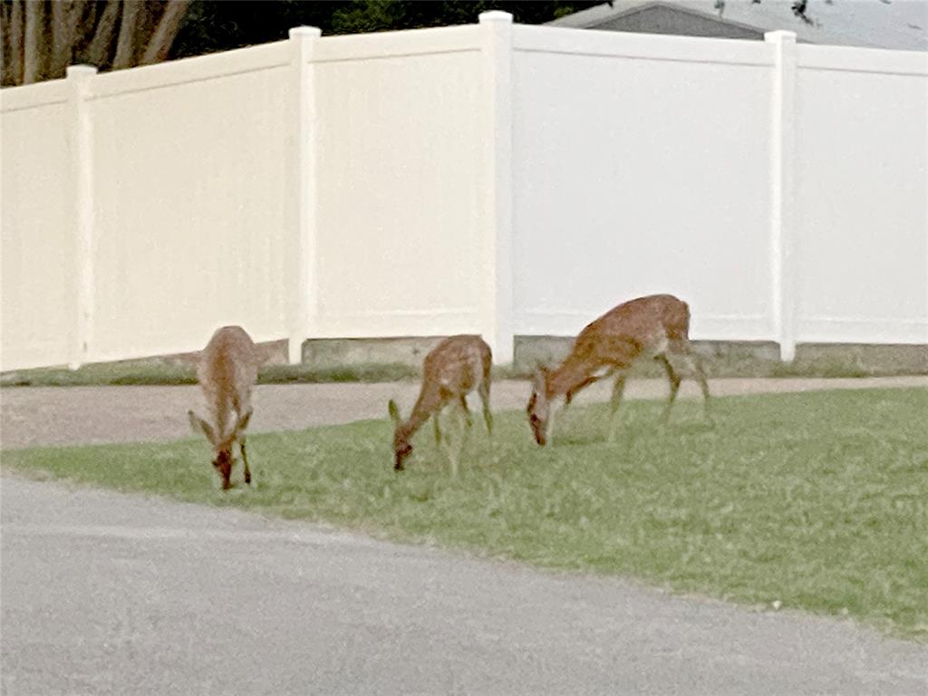 Benbrook Lakeshore Estates - Residential