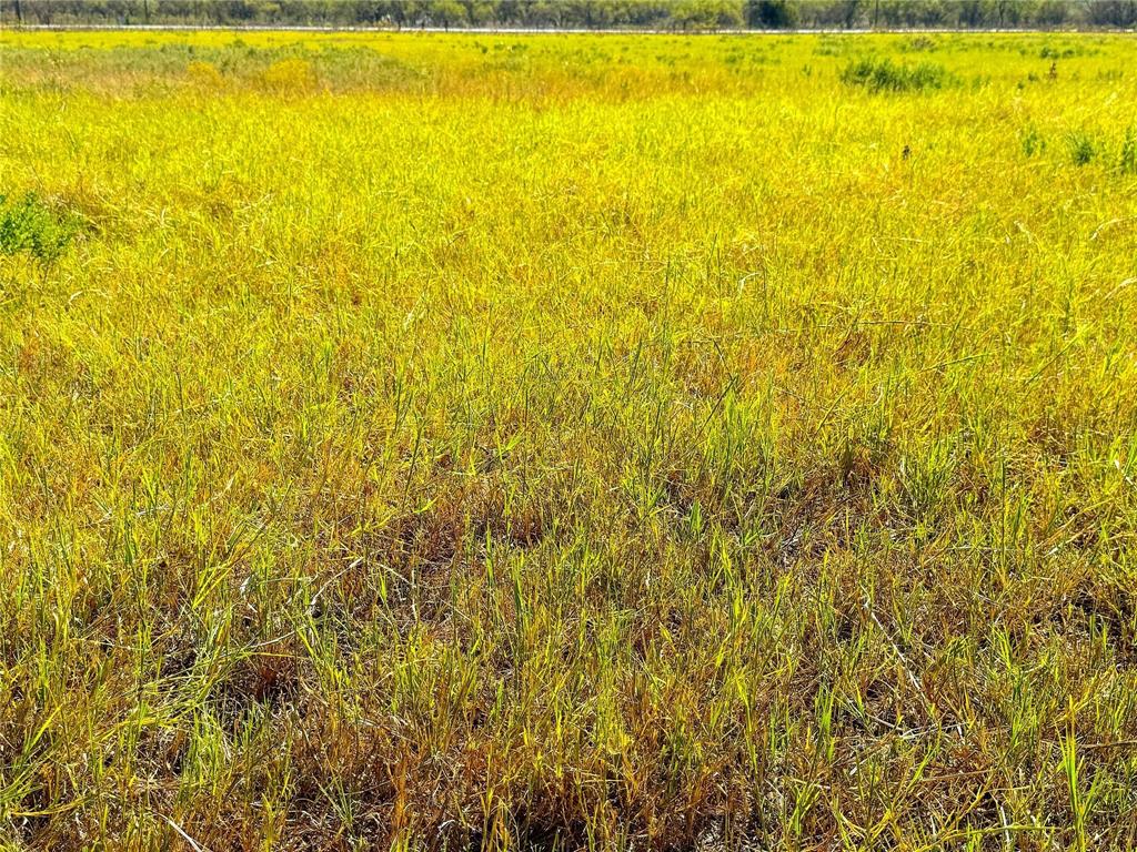 T & Prr Co Suvey Abs #340 - Land