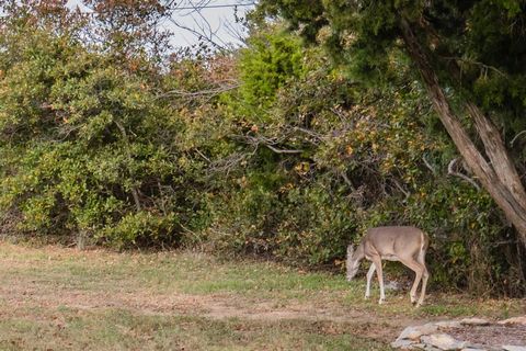 Lot 95 Cliffs Drive Possum Kingdom Lake TX 76449
