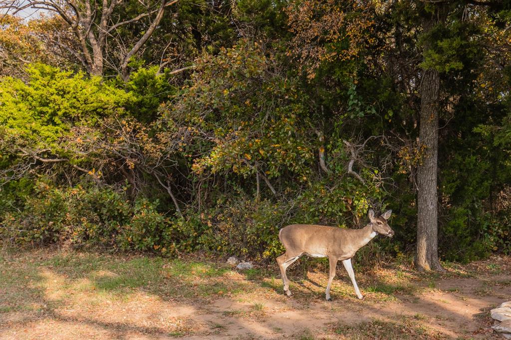 Lot 95 Cliffs Drive