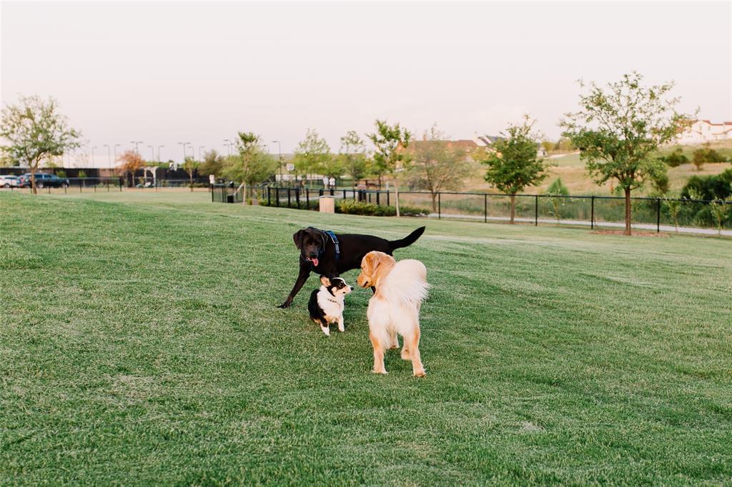 Walsh - Residential Lease