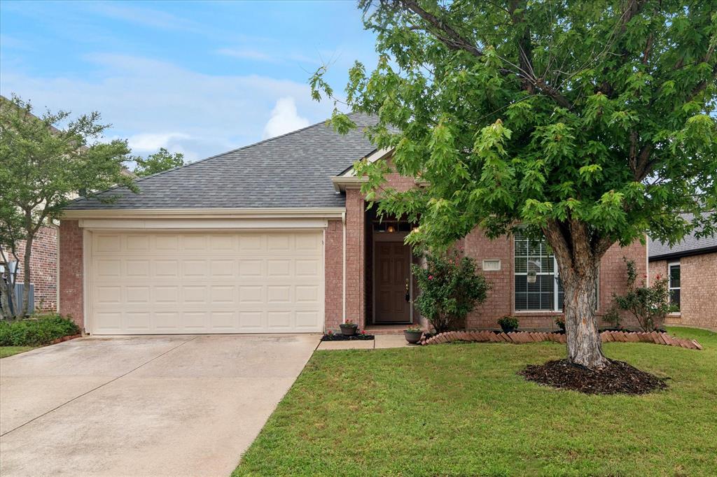 3711 Palmetto Court
