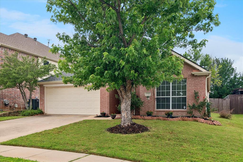 3711 Palmetto Court
