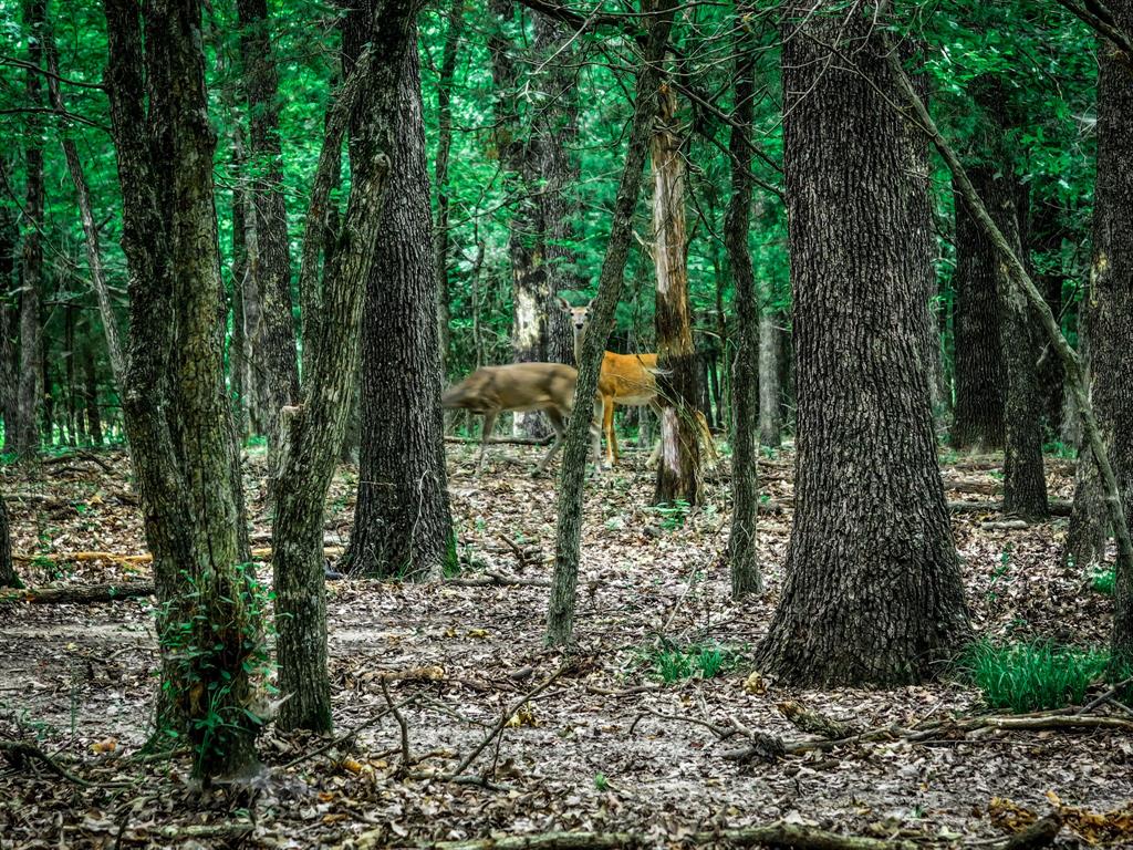 OCHILTREE HUGH - Farm