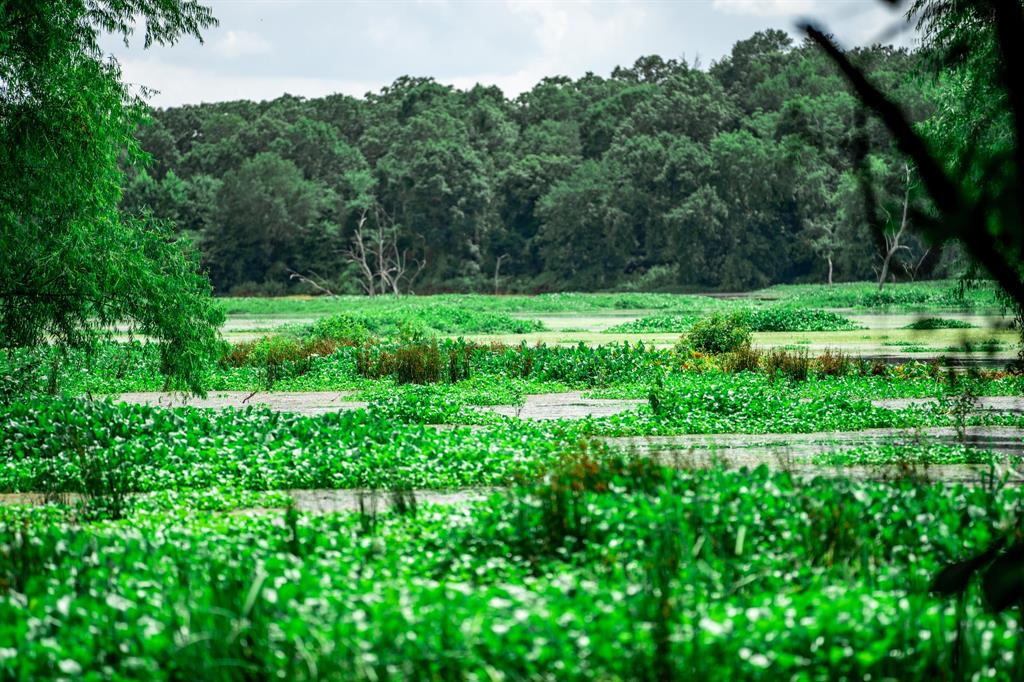 OCHILTREE HUGH - Farm