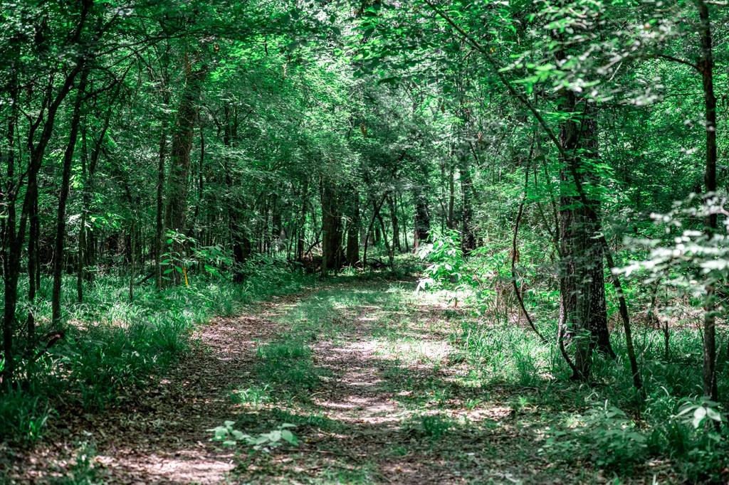 OCHILTREE HUGH - Farm