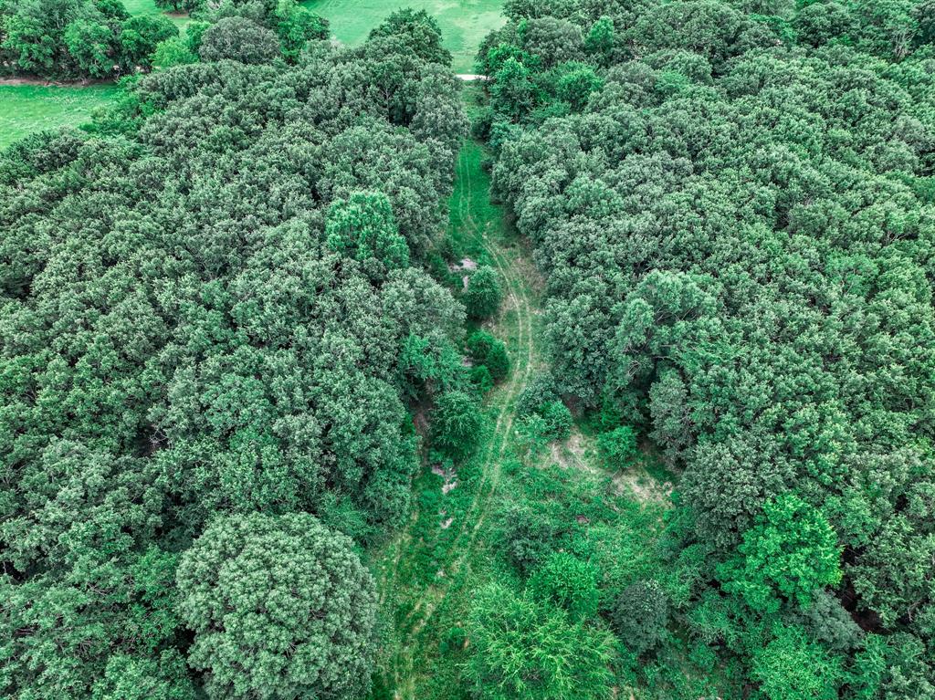 OCHILTREE HUGH - Farm