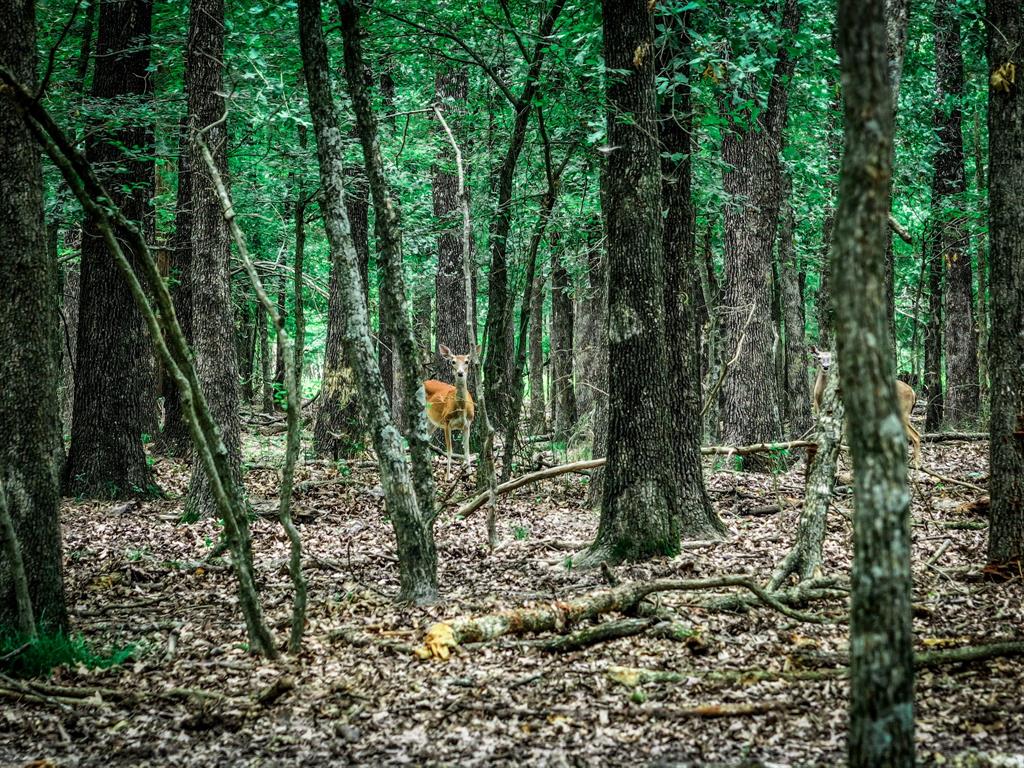 OCHILTREE HUGH - Farm