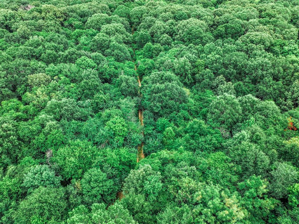 OCHILTREE HUGH - Farm