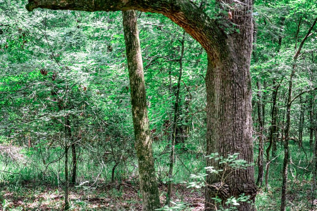 OCHILTREE HUGH - Farm