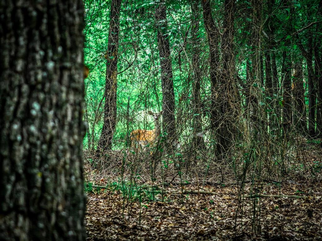 OCHILTREE HUGH - Farm