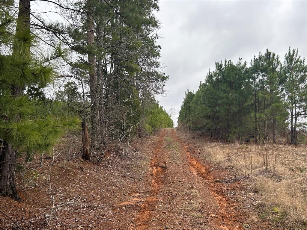 TBD CR 3875