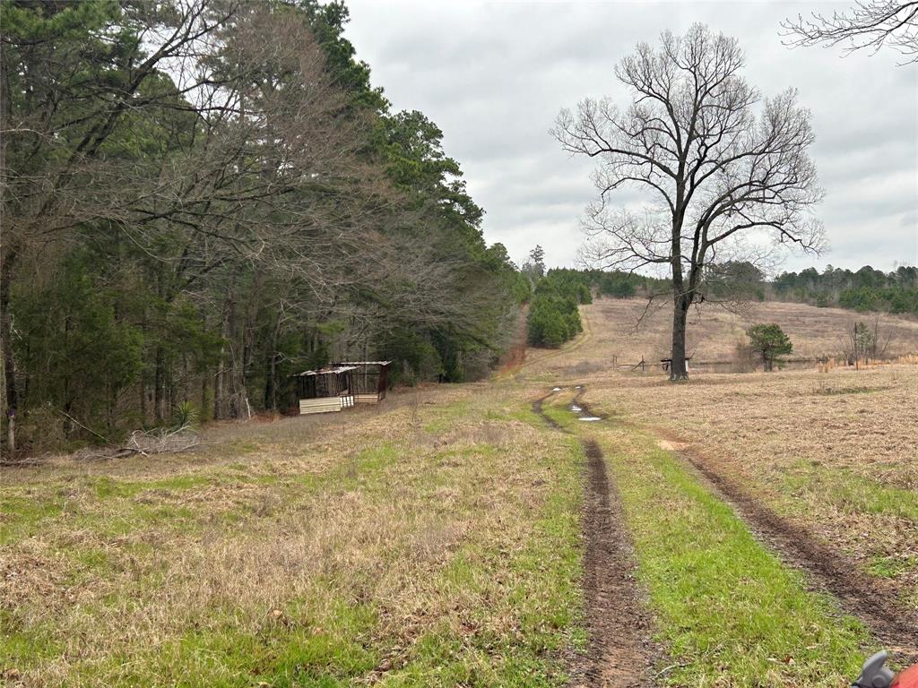 TBD CR 3875