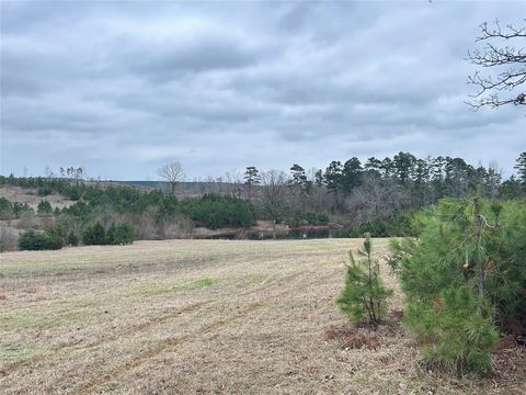 TBD CR 3875 Mineola TX 75773