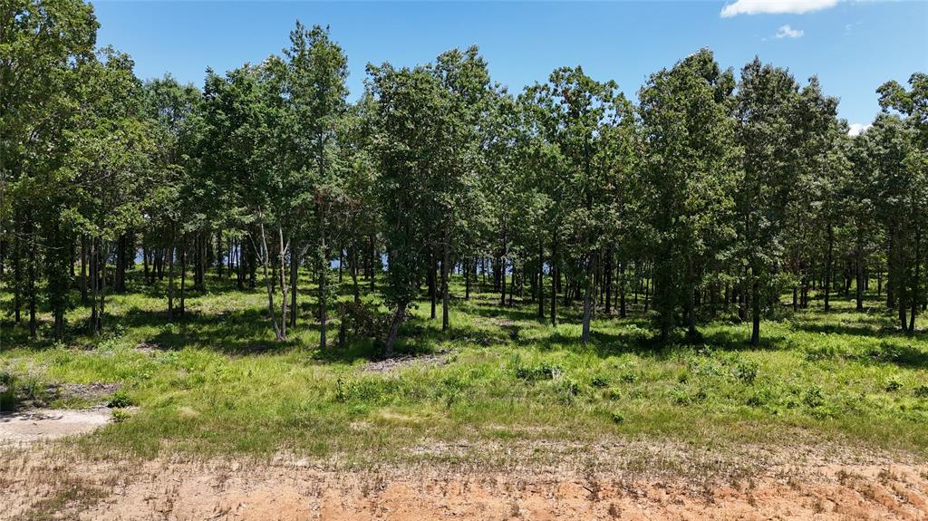 Angler Shores - Land