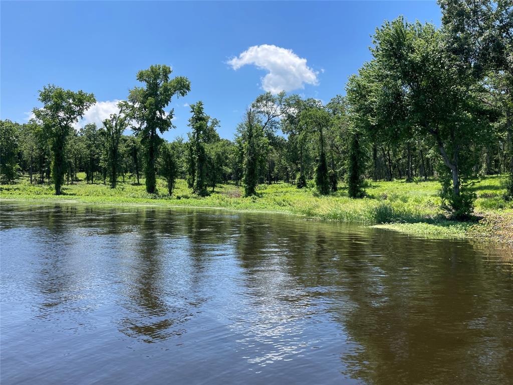 Angler Shores - Land