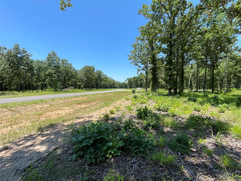 Angler Shores - Land