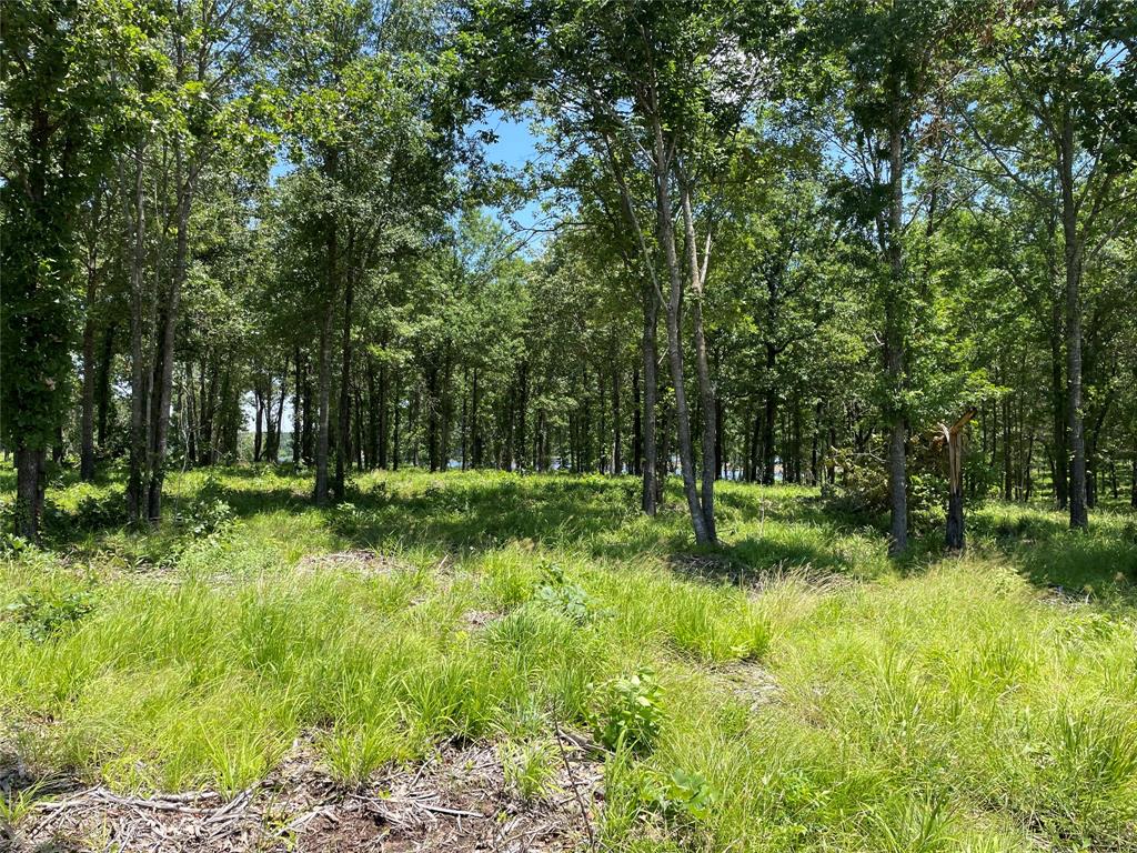 Angler Shores - Land