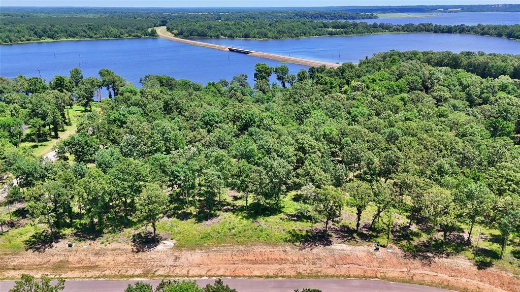 Angler Shores - Land