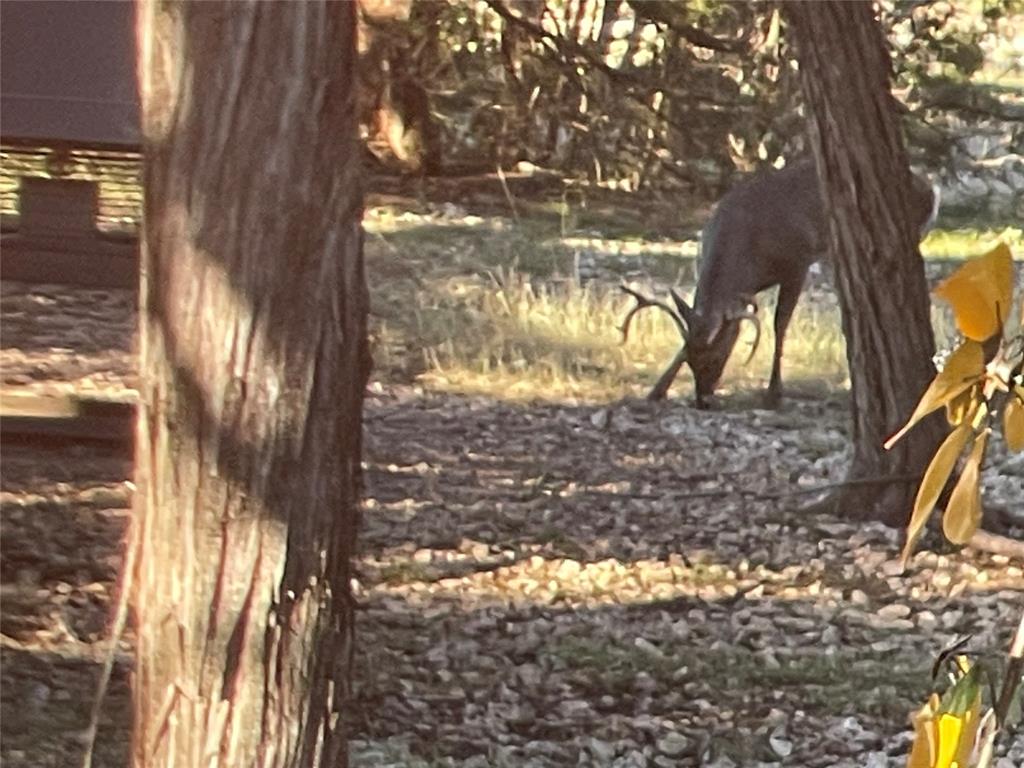 Cedar Shores - Residential