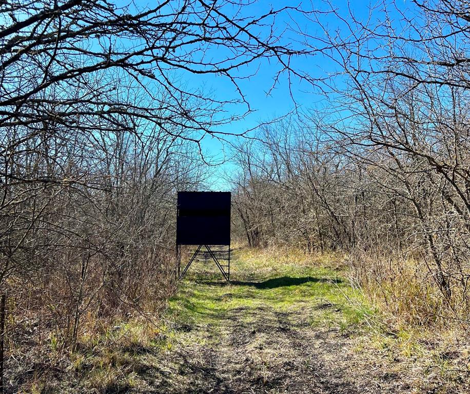 9595 County Road 262