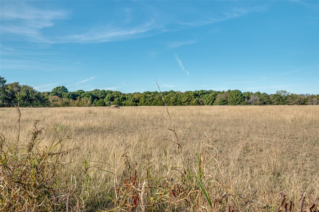 000 County Road 487