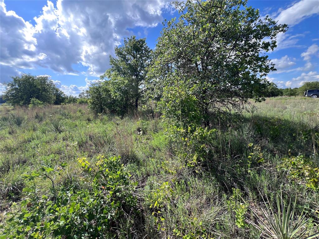 TBD Lot 15 Live Oak Trail