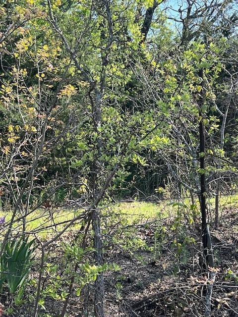 TBD County Road 4515