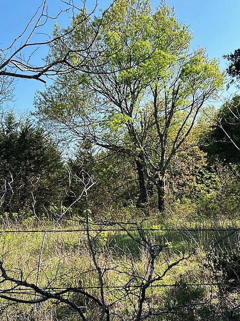 TBD County Road 4515