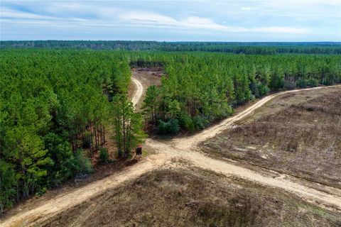 TBD Segno Fire Lane Livingston TX 77351