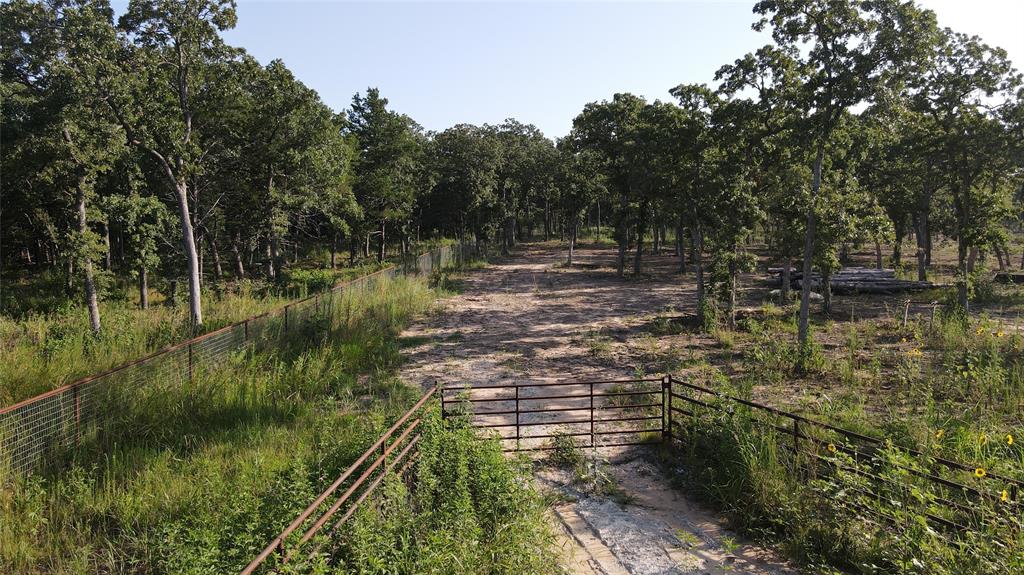 Bloomfield Jt - Land