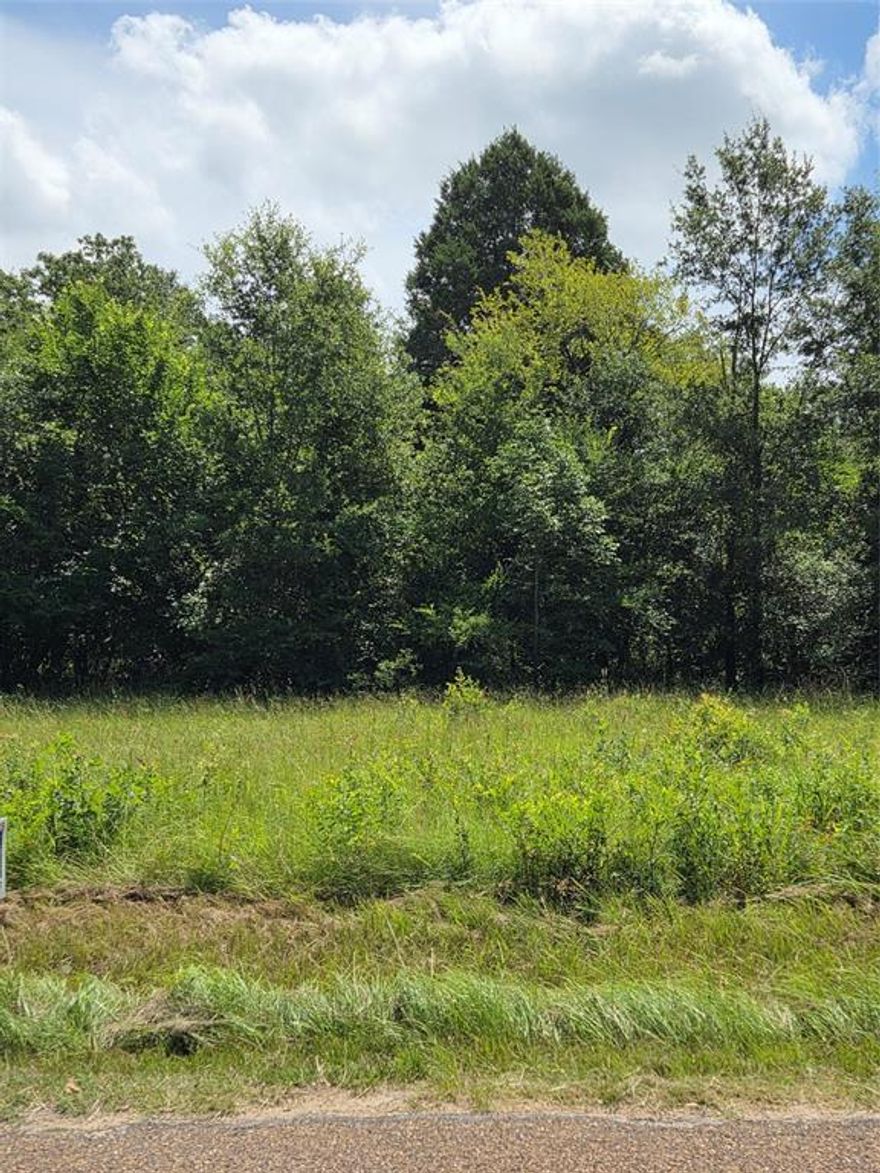 CLEARED LOT IN MOBILE HOME FRIENDLY SUBDIVISION WITH LIGHT DEED RESTRICTIONS. RIGHT ACROSS THE STREET FROM POA PARK WITH PAVILLION. LOT GIVES ACCESS TO CEDAR CREEK LAKE THROUGH POA BOAT RAMP JUST A COUPLE OF BLOCKS AWAY!