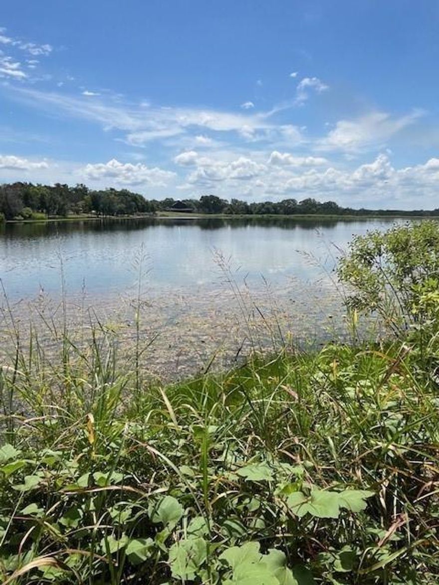 Build your dream home now or later on this scenic, buildable 1 acre lot in Mt. Lakes Ranch Estates. Lot is on a quiet street & offers beautiful views of surrounding hills & valleys. Enjoy private, waterfront access to a seasonal pond & when it’s not full, watch the wildlife enjoy their own private meadow. Amenities included in $295 annual dues: Club House, Recreation & Fishing Lakes; secure RV Storage & RV Park; Community Garden, Walking Path with Exercise Equip; Pool with Pavilion & Playground. Enjoy the charming Bluff Dale community with antique stores, popular restaurants. Bluff Dale ISD. Centrally located between Granbury, Stephenville (Tarleton State University) & Glen Rose. Want 2 acres? Lot 1177 just north of this lot is also available.