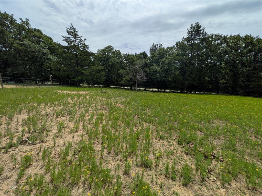 1325 County Road 263