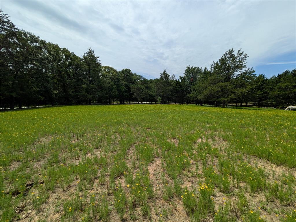 1325 County Road 263