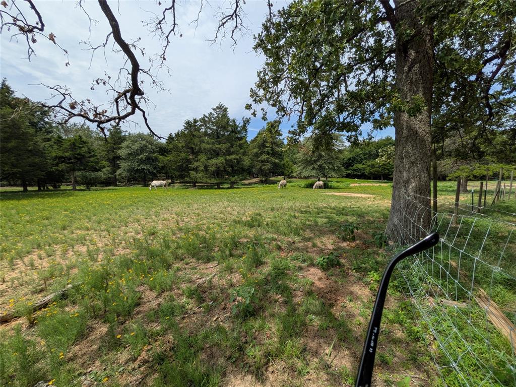 1325 County Road 263