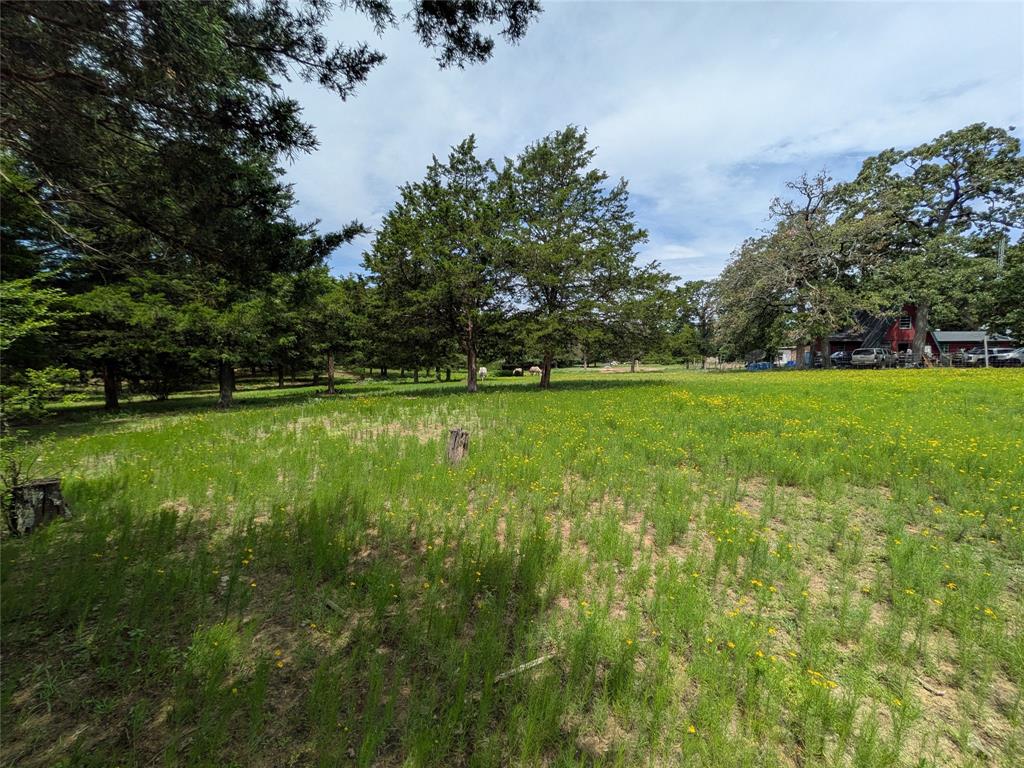1325 County Road 263