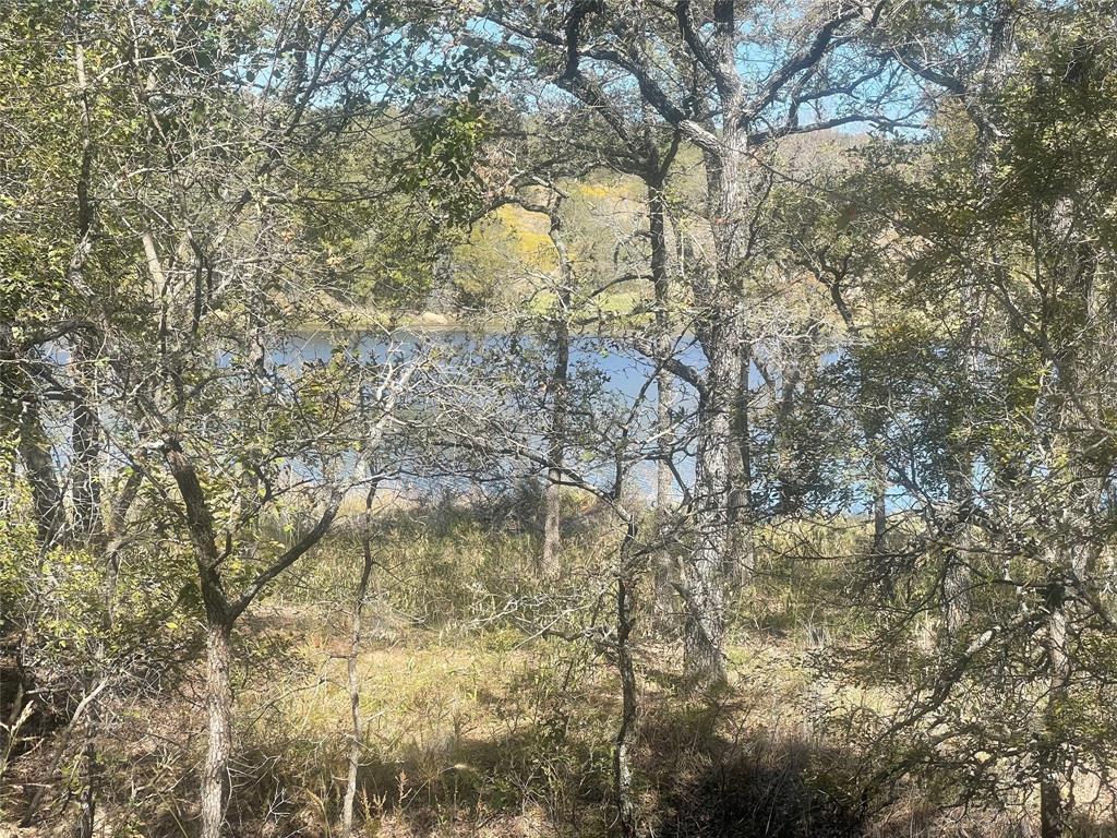 Silver Lakes Ranch - Land