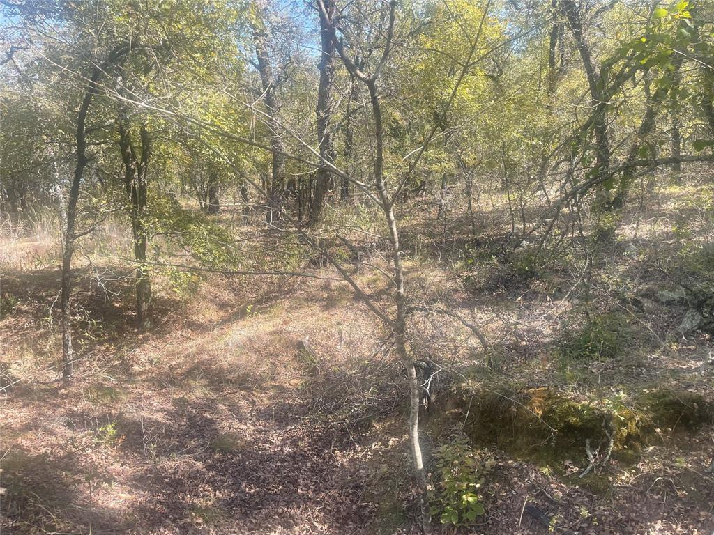 Silver Lakes Ranch - Land