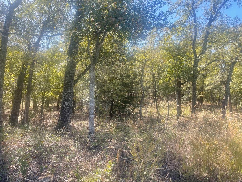 Silver Lakes Ranch - Land