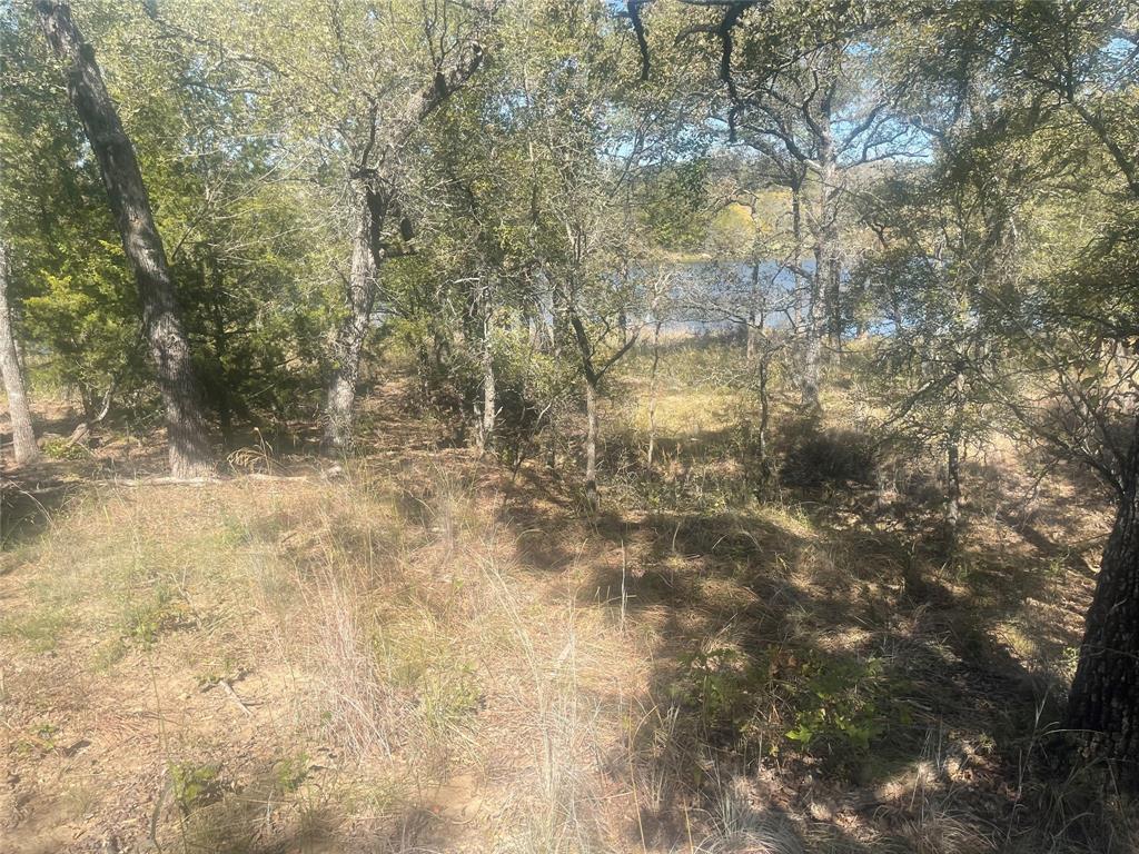 Silver Lakes Ranch - Land