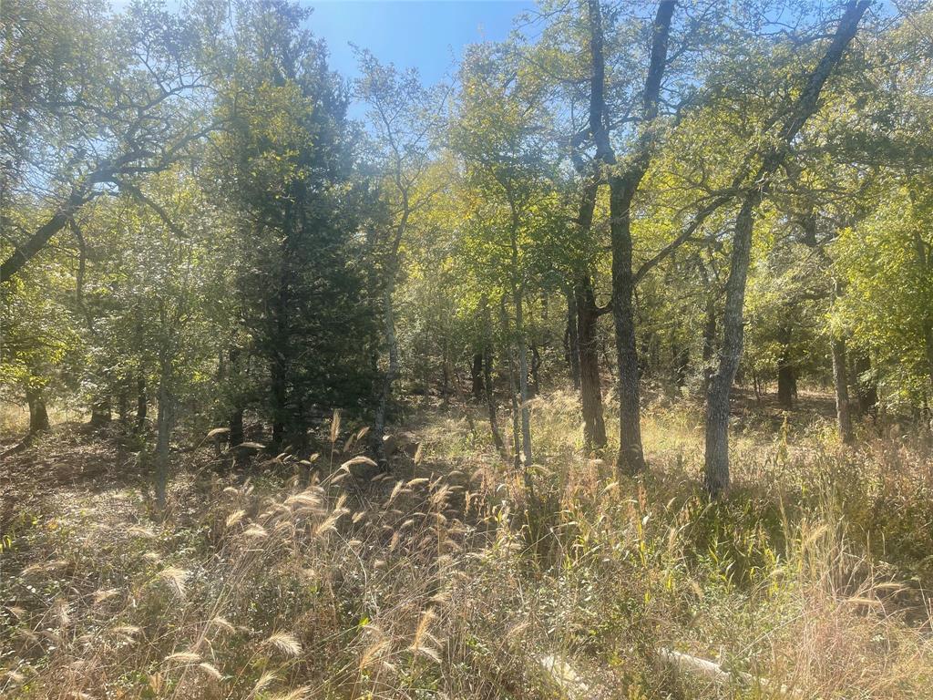 Silver Lakes Ranch - Land