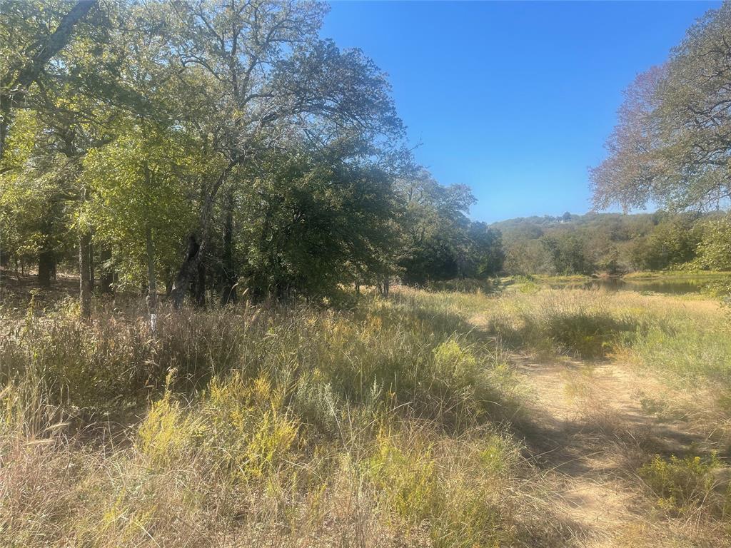 Silver Lakes Ranch - Land