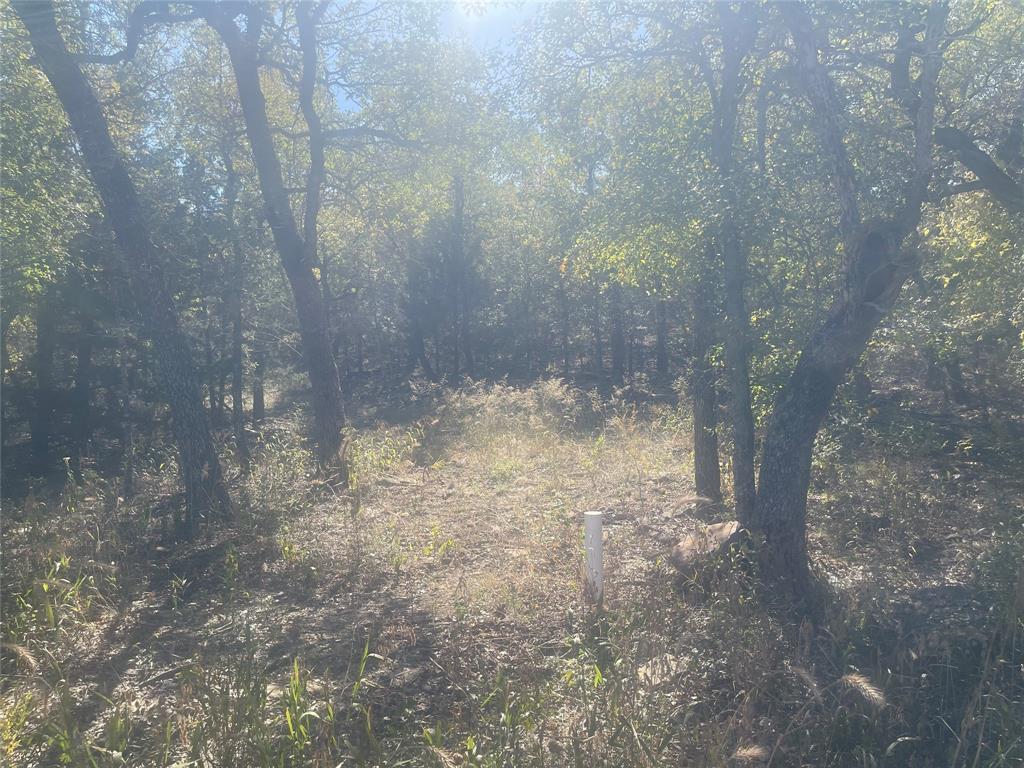 Silver Lakes Ranch - Land