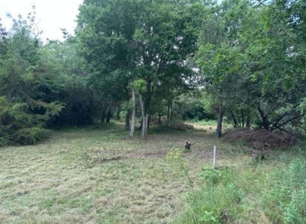 White Bluff #38 - Land