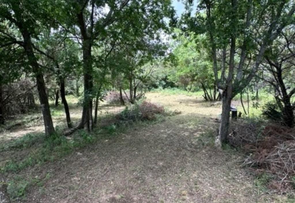 White Bluff #38 - Land