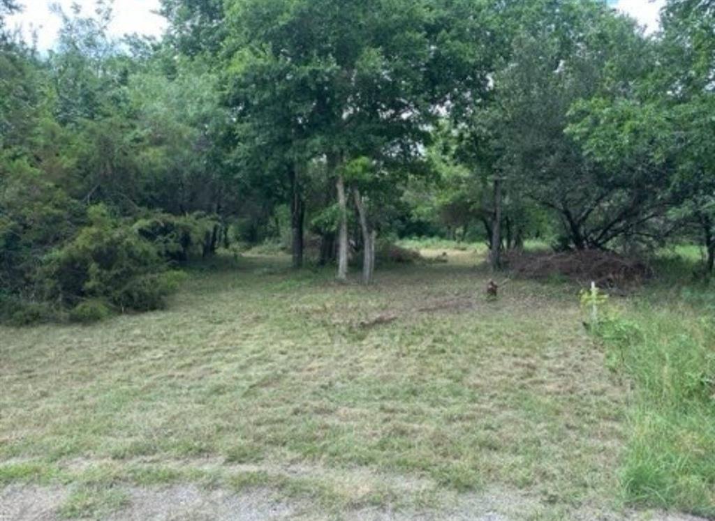 White Bluff #38 - Land