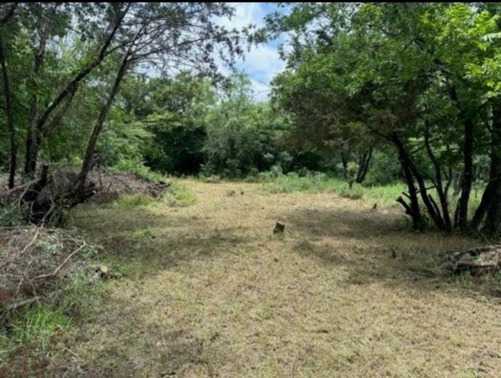 White Bluff #38 - Land