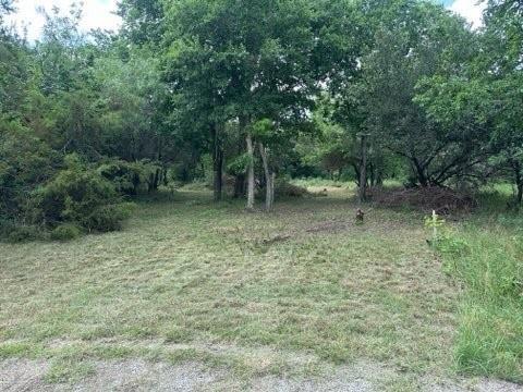 White Bluff #38 - Land