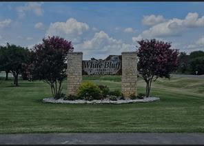 White Bluff #38 - Land